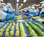富士通為生鮮食品廠定制潔凈方案，助力食品廠美好環境建設